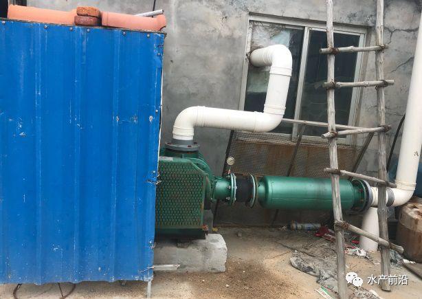 出蝦27斤/立方，連續(xù)三造成功后，工廠化養(yǎng)蝦在他看來并不難！